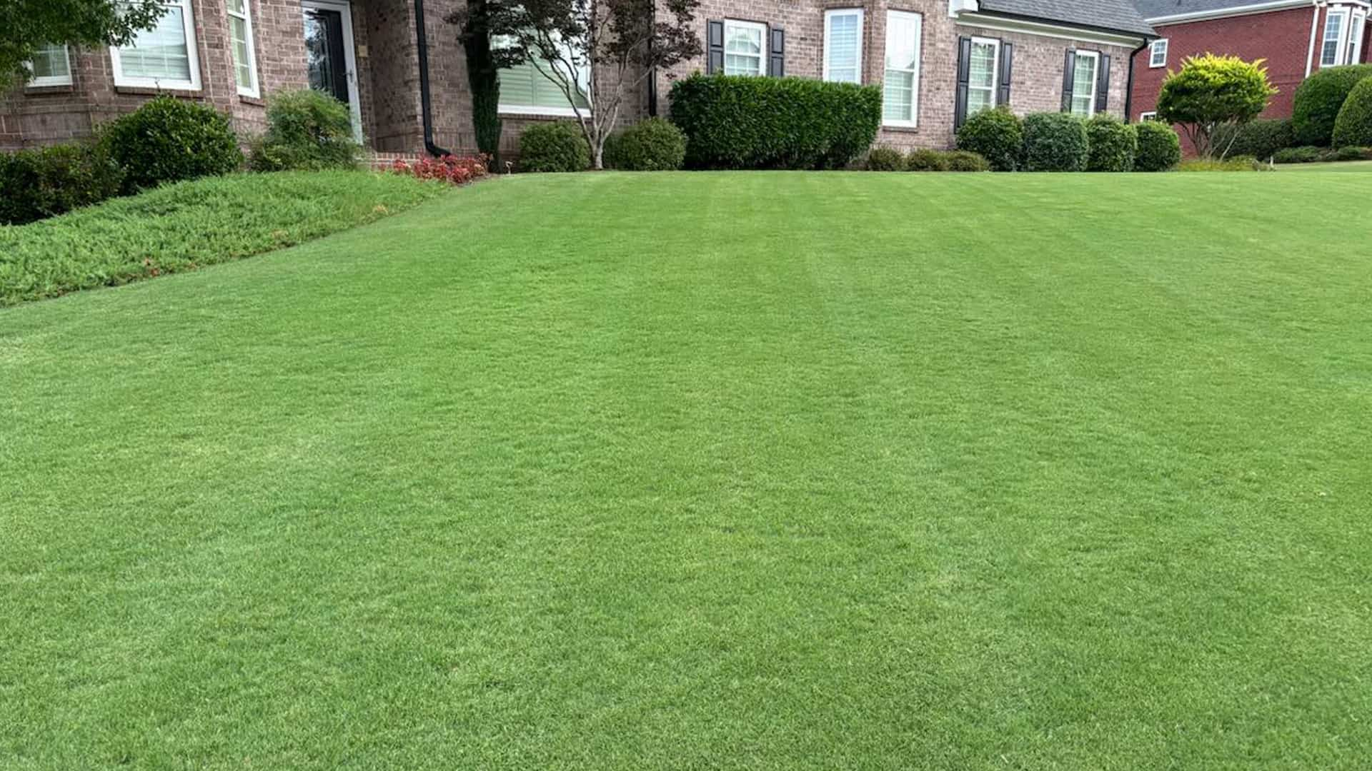 Healthy Lawn Banner Image