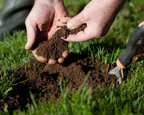 PH & Soil Management Service Image